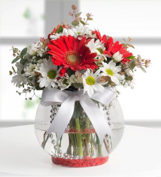 Faunus Camda Papatya ve Kırmızı Garberalar