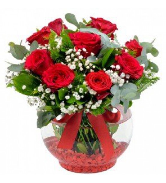 Faunus Camda  Kırmızı  9Gül