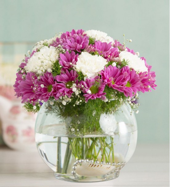 pembe papatya  ve karanfiller