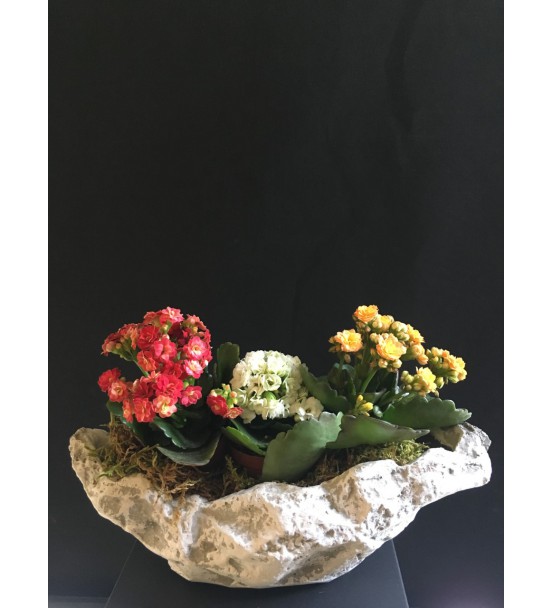 kayık taşta kalanşo 